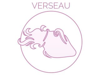 VERSEAU : C'est le moment de communiquer et de vous faire connaître ou reconnaître