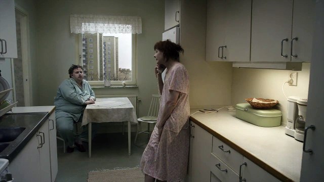Eine Taube sitzt auf einem Zweig und denkt über das Leben nach Trailer DF