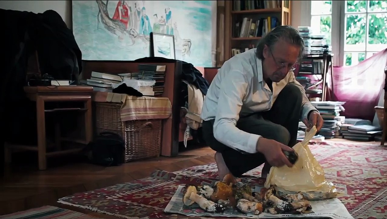 Peter Handke - Bin im Wald. Kann sein, dass ich mich verspäte Trailer DF