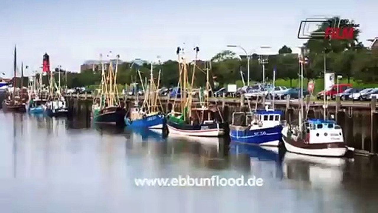 Ebb un Flood Trailer DF