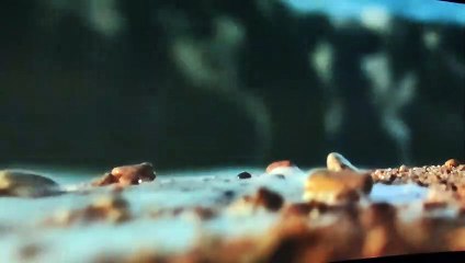 'Symphony. Viaje al corazón de la música' en Burgos