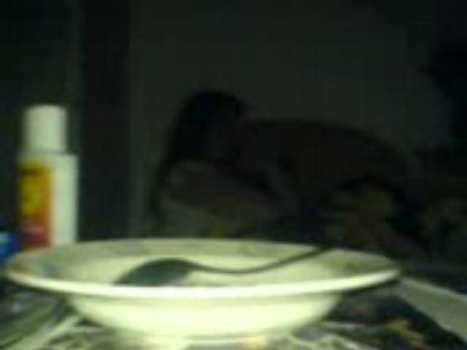 My evening at home