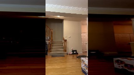 Slow Motion Cat Misses by Millimeters