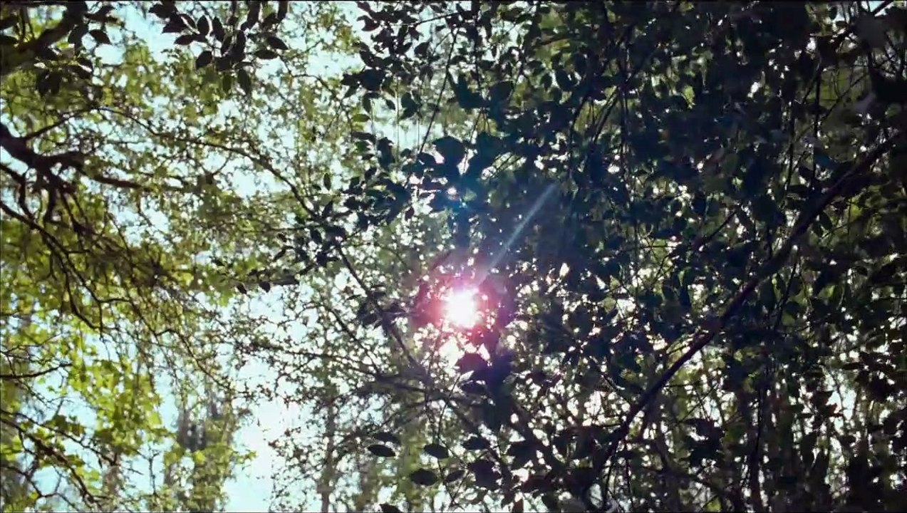 Fräulein Julie Trailer DF