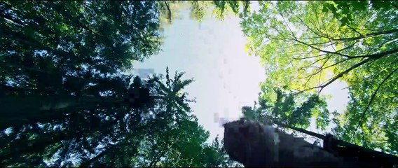 The Adventurers Trailer OV