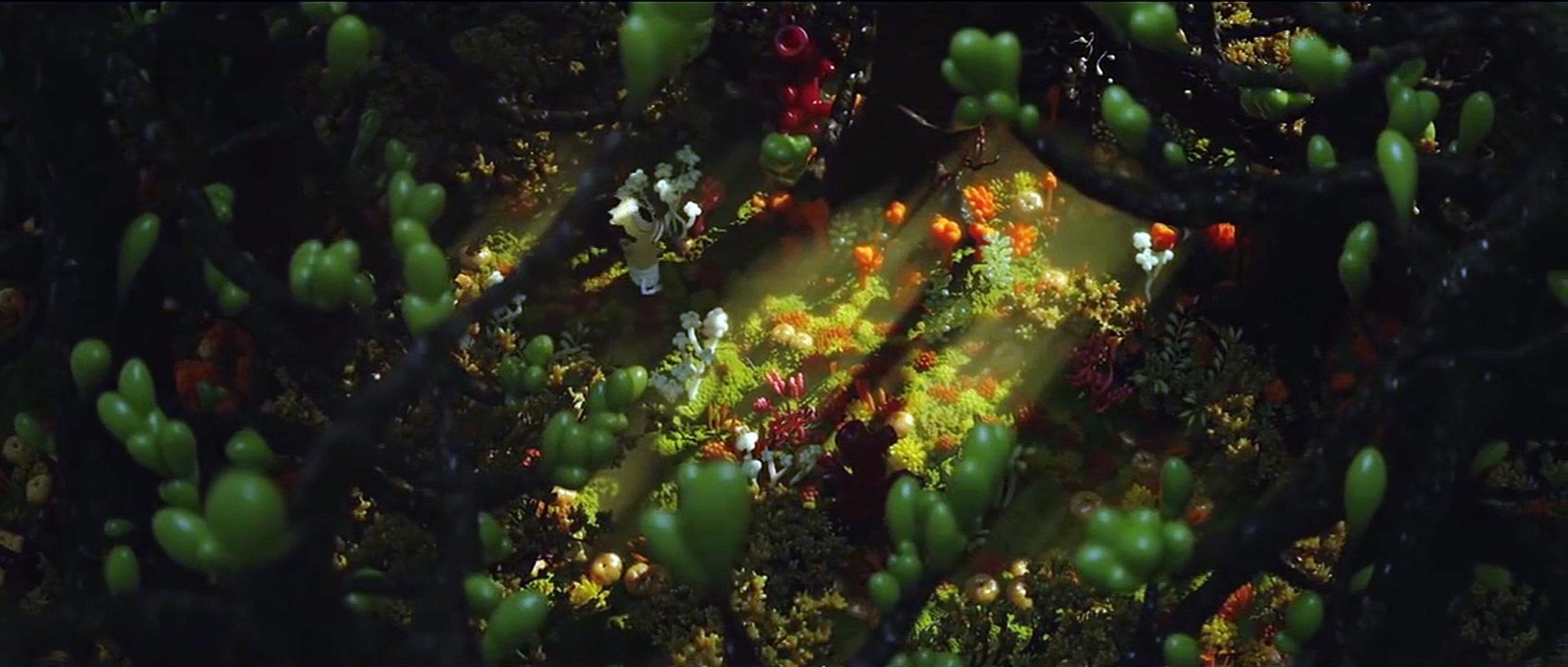 The Absence Of Eddy Table Trailer OV