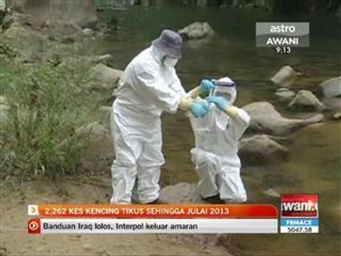 2,262 kes kencing tikus sehingga Julai 2013