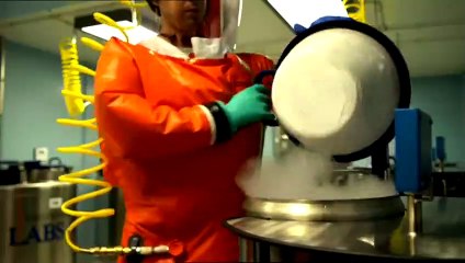 Contagion Making of DF