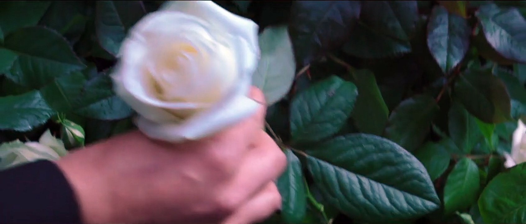 Die Tribute von Panem 4 - Mockingjay Teil 2 Trailer (2) DF
