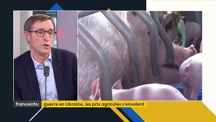 « La guerre en Ukraine aura un effet sur le coût de l’alimentation », prévient Dominique Chargé, président de la Coopération agricole