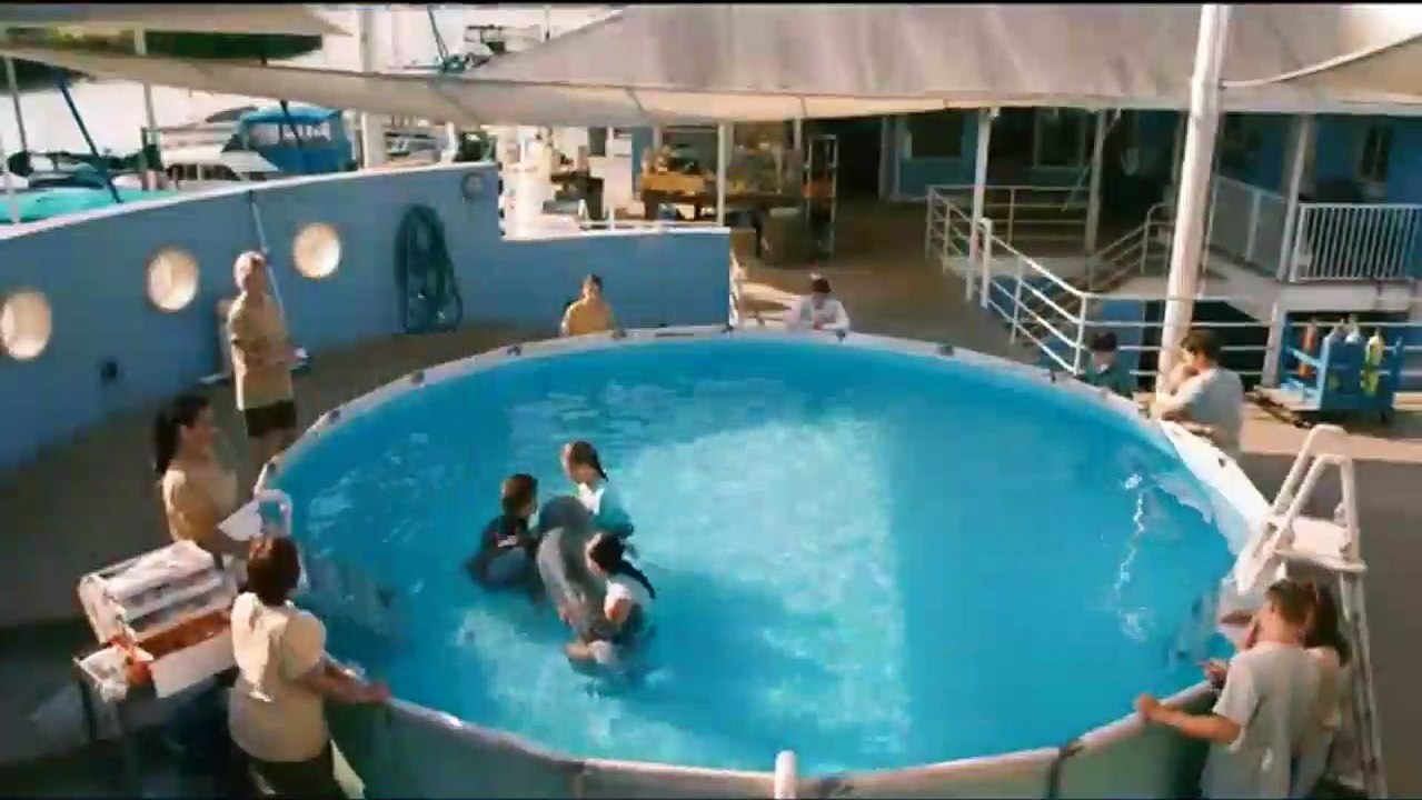 Mein Freund, der Delfin Videoclip DF