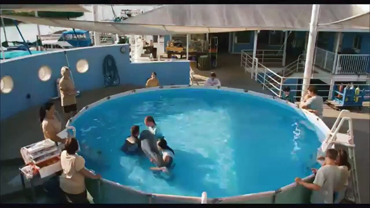 Mein Freund, der Delfin Videoclip (2) DF