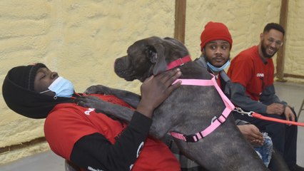 Incarcerated Men Get Second Chance By Training Dogs