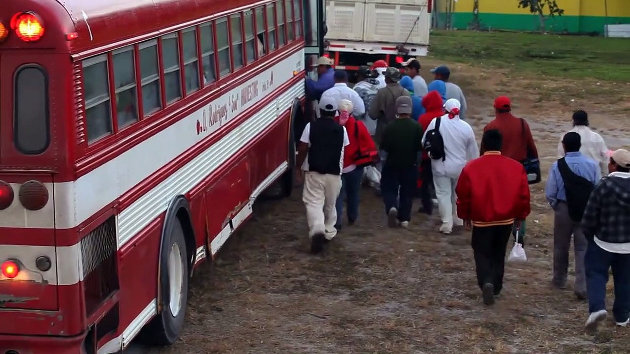 Fair Food Trailer DF
