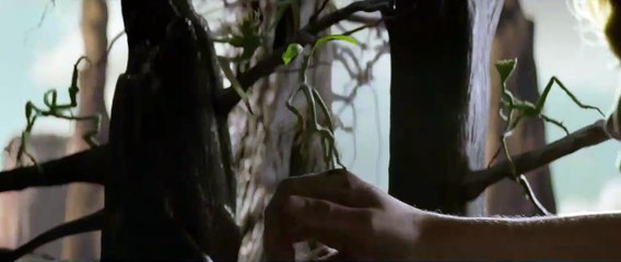 Phantastische Tierwesen und wo sie zu finden sind Trailer (10) OV
