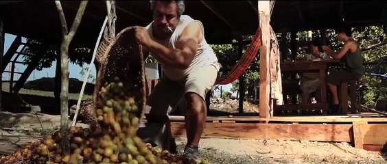 A Floresta De Jonathas - Im dunklen Grün Trailer OmU