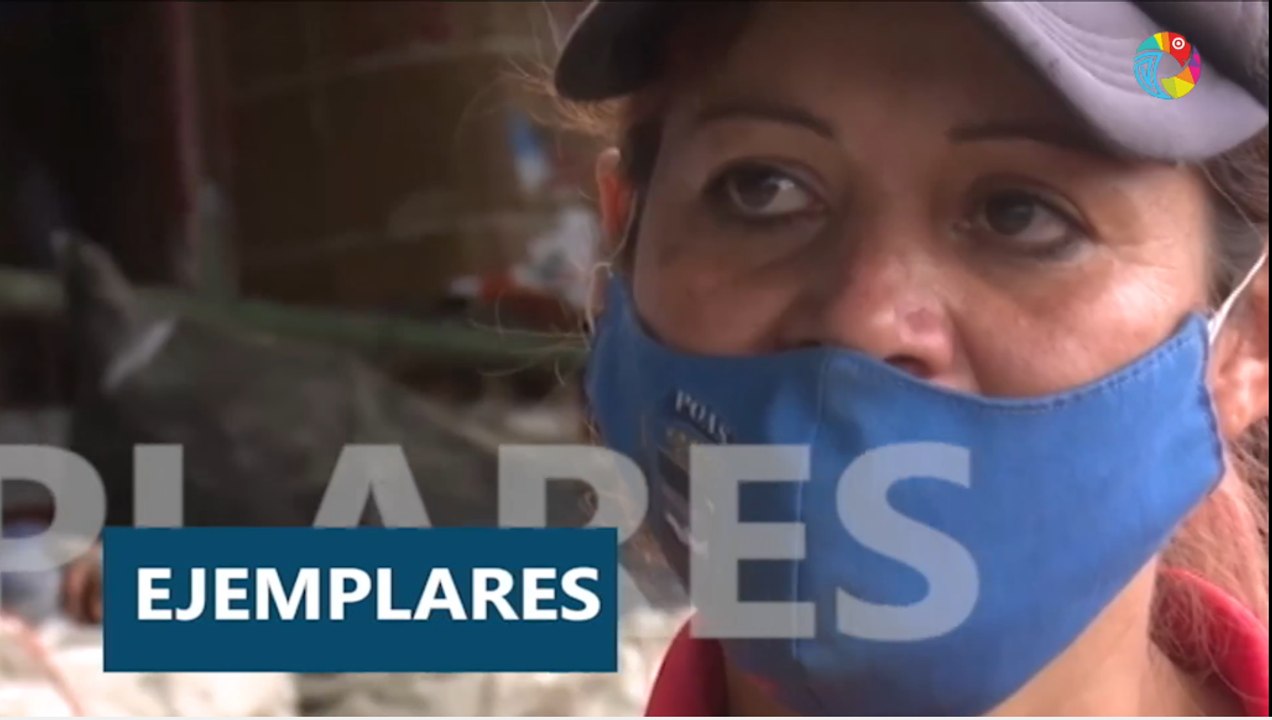 Trece Costa Rica Noticias - Meridiana martes 8 de marzo del 2022