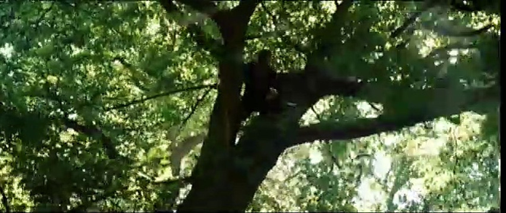 Robin Hood Trailer (2) DF