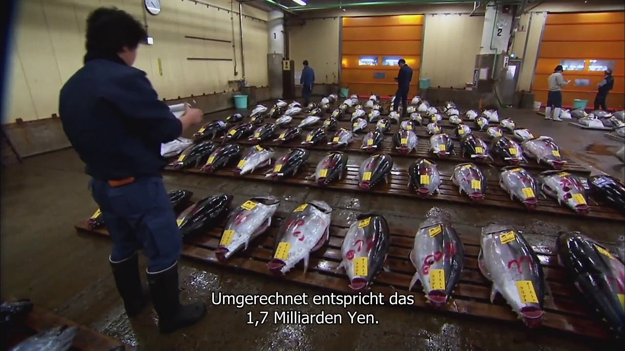 Sushi - The Global Catch Trailer DF