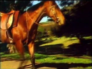 Archer, die Abenteuer eines Rennpferdes Trailer OV