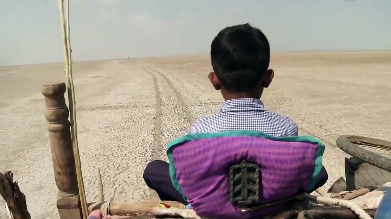 My Name is Salt Trailer OmU