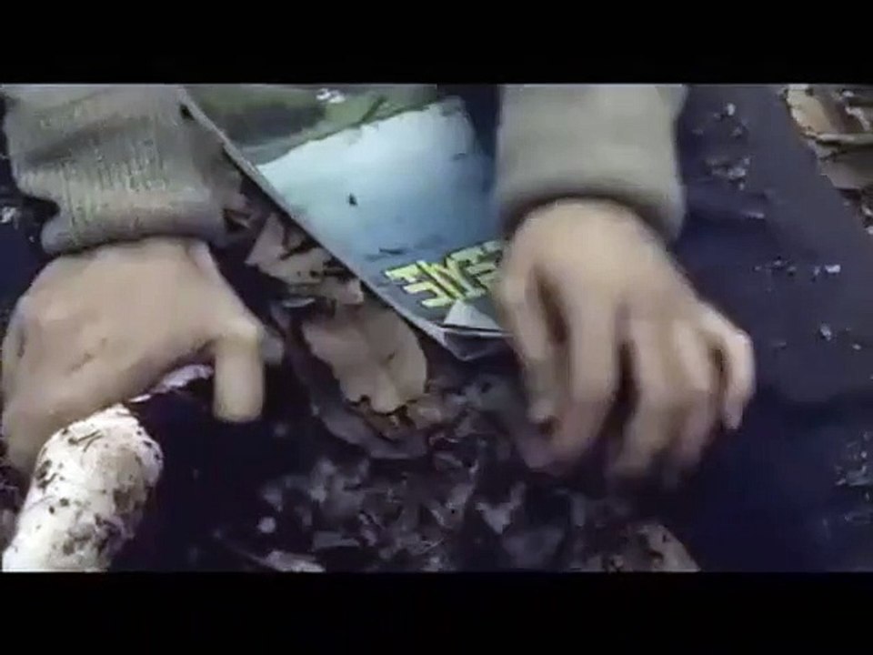 End of Animal Trailer OV