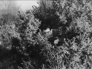 Jagd auf Z Trailer DF