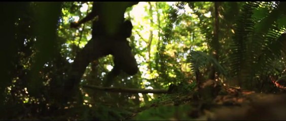 Zombie Toxin Trailer OV