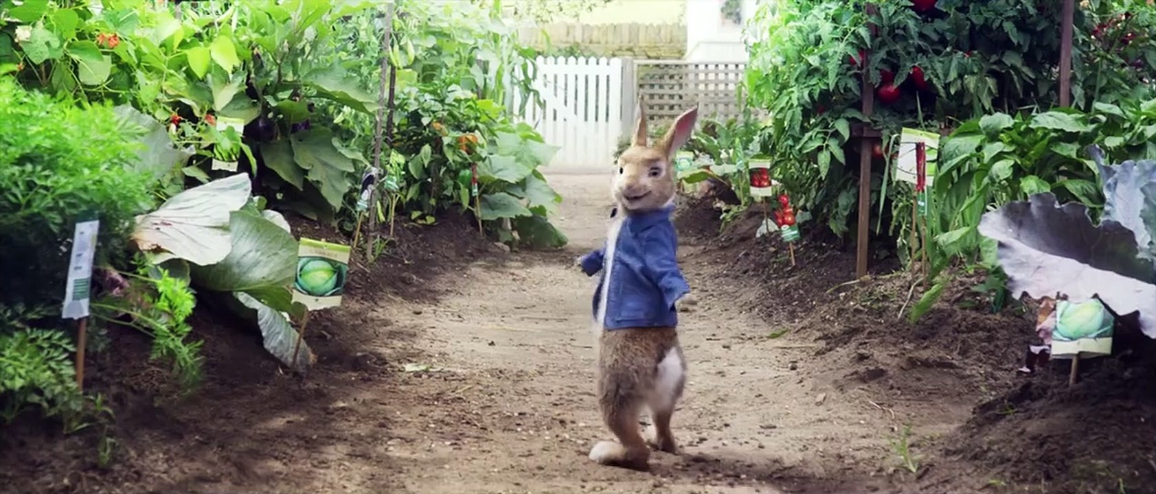 Peter Hase Trailer DF