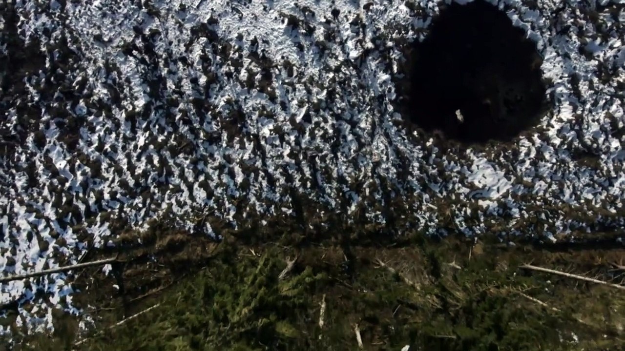 The Missing - staffel 2 Trailer DF