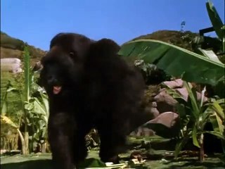 Mein großer Freund Joe Trailer OV