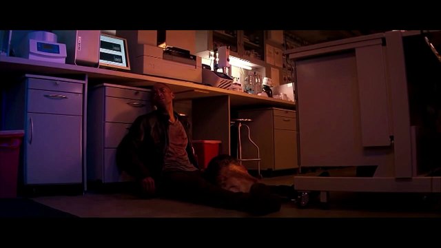 Jetzt wird's richtig traurig: Die tragischsten Tier-Tode in Filmen