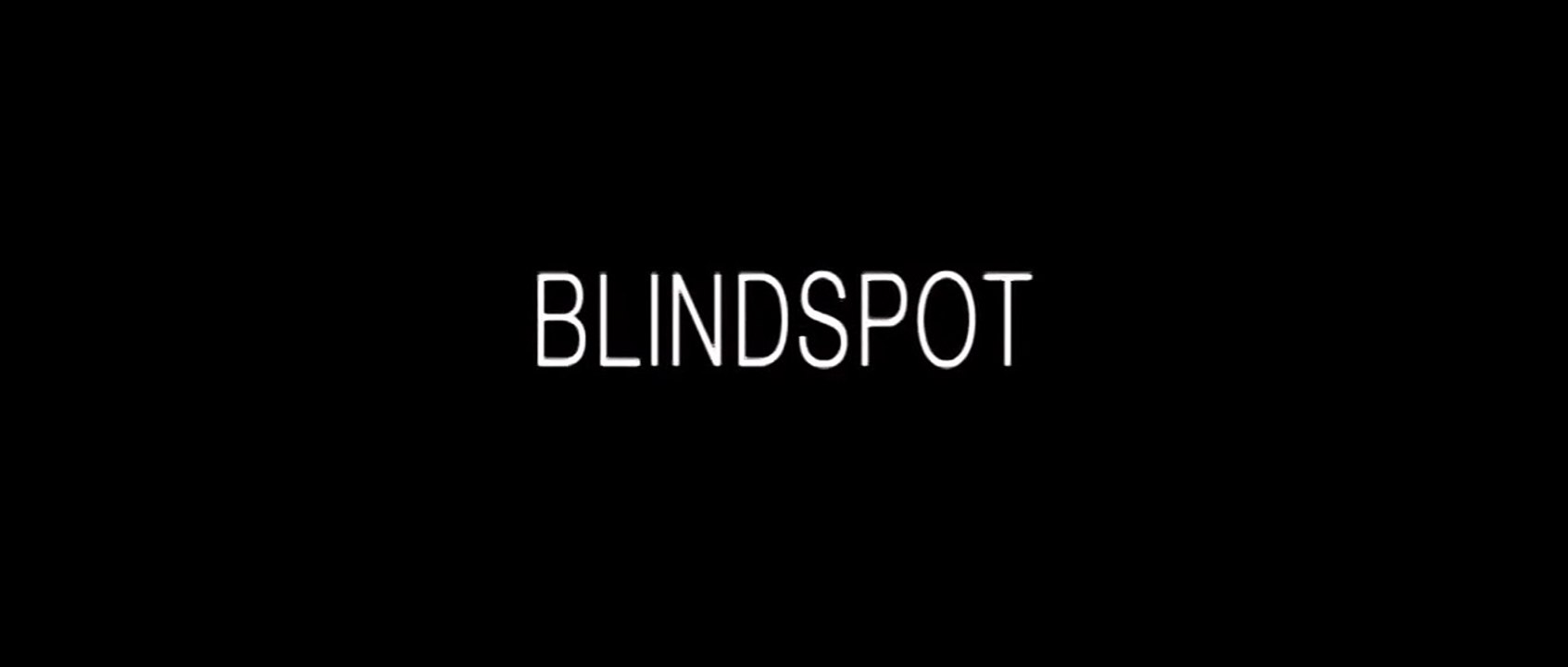 Blindspot - Die Fesseln der Begierde Trailer DF