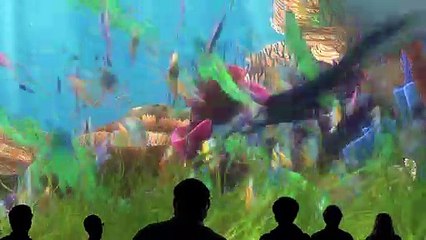 Findet Nemo Videoclip OV