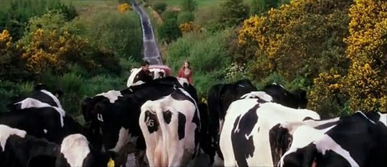 Verlobung auf Umwegen Trailer OV