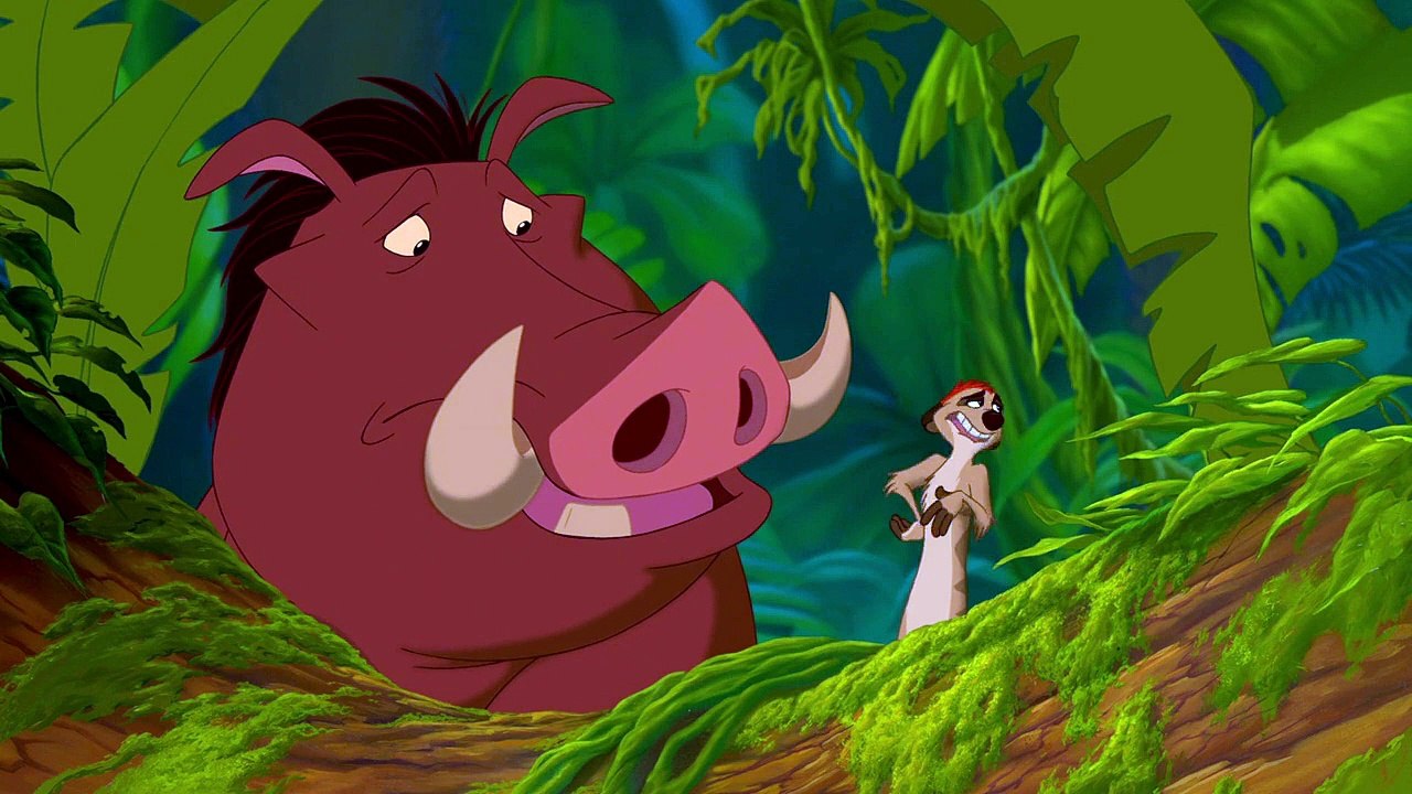 Der König der Löwen Videoauszug DF