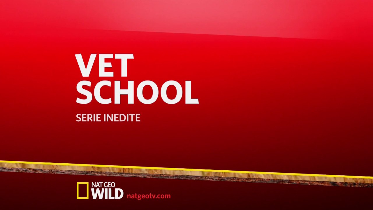 Vet school