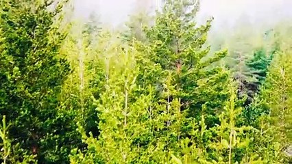 Jersey Devil Trailer OV