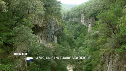La Vis, un sanctuaire bilogique