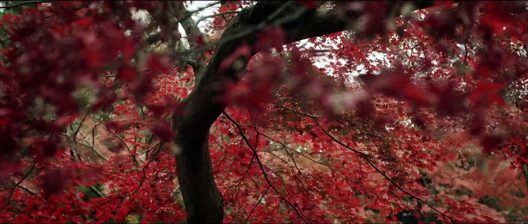Happiness Trailer OmU