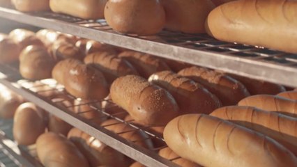 Tackling food fraud