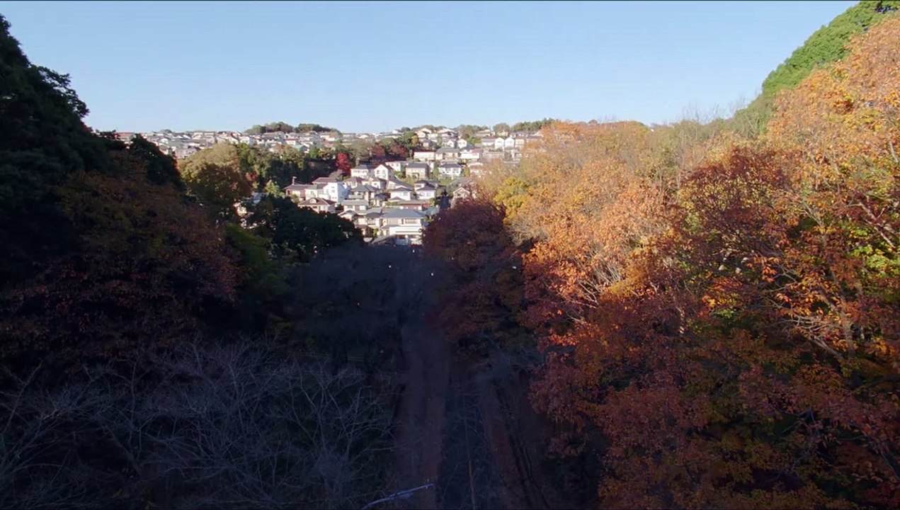 Unsere kleine Schwester Trailer DF