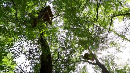 Above All Else Trailer OV