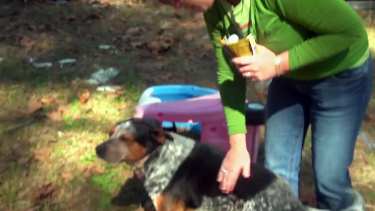 Dogs on the Inside Trailer OV 1 video Dailymotion