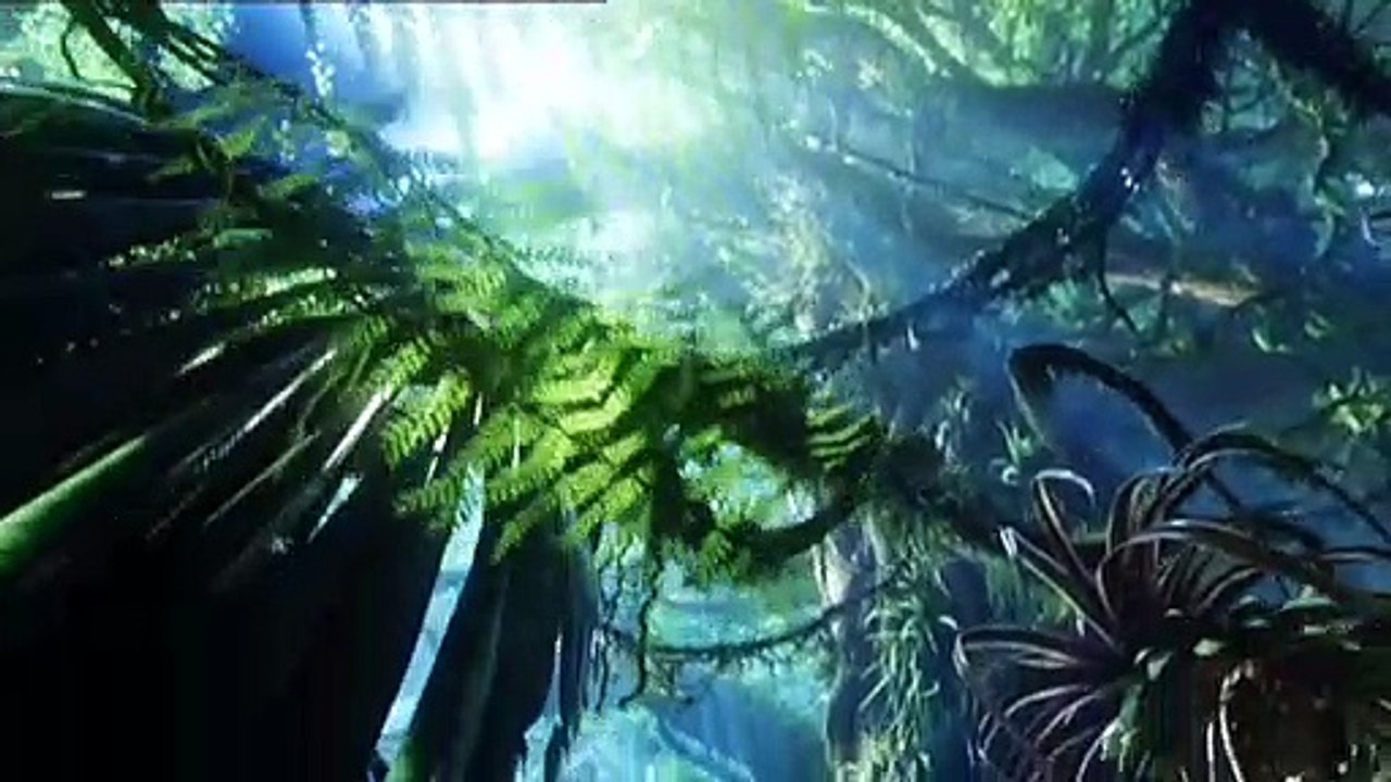 Reportage 6 - Deutsch