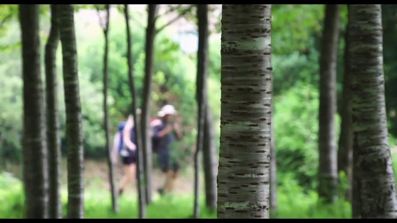 Camino de Santiago Trailer DF