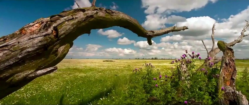 Die neue Wildnis - Große Natur in einem kleinen Land Trailer (2) OV