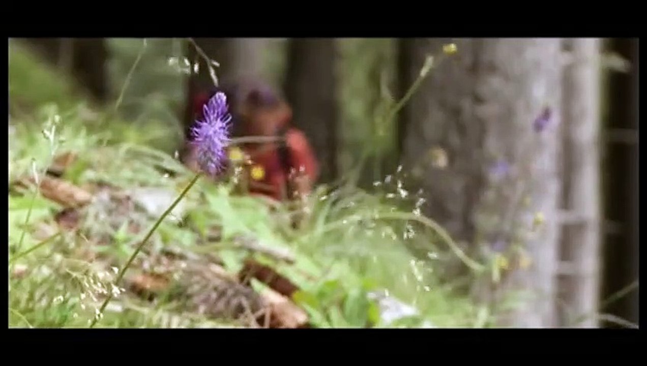 Der Weg war sein Ziel - Zu Fuß von München nach Venedig Trailer DF