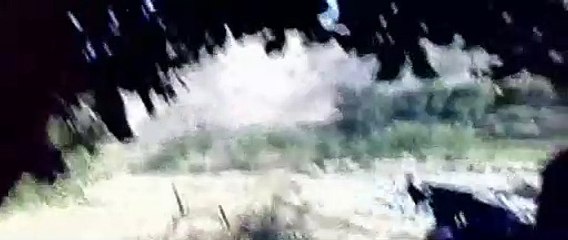 The Hornet's Nest Trailer OV