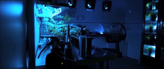 400 Days - The Last Mission Trailer OV